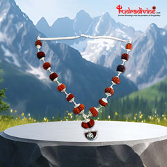 1 -14 Mukhi Rudraksha Silver Kantha indonesia