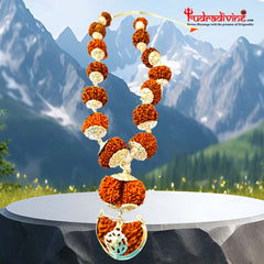 1 -14 Mukhi Rudraksha Siddha Mala with silver Cap nepali