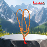 1 to 14 Mukhi Rudraksha with Gauri Shankar kantha indonesia