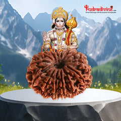 14 Faced Natural Nepali Rudraksha Beads collector