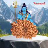 15 Faced Natural Nepali Rudraksha Bead collector