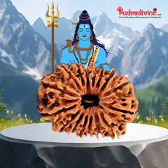 16 Faced Natural Nepali Rudraksha Beads collector