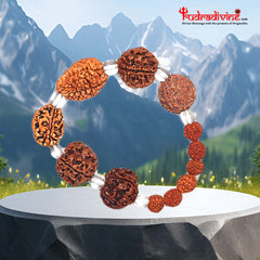 Brown Rudraksh 2 3 4 5 6 7 Mukhi Beads