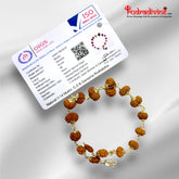 1 - 14 Mukhi Indonesian Rudraksha Bracelet In Pure Silver