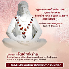 1 -14 Mukhi Rudraksha Silver Kantha indonesia