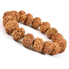 RUDRA Divine 7 Mukhi Rudraksha Bracelet Certified Energized 7 Mukhi Rudraksha Bracelet Adjustable Unisex