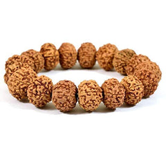 Rudra divine 8 Mukhi Rudraksha Bracelet Unisex Bracelet Java Beads Adjustable 8 Mukhi Rudraksha Bracelet