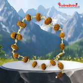 1 - 14 Mukhi Indonesian Rudraksha Bracelet In Pure Silver