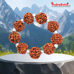 Charming 5 Mukhi Rudraksha & Parad beads Bracelet
