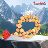 7 Faced Mahalaxmi Rudraksha Mala