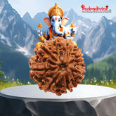 8 Faced Natural Nepali Rudraksha Beads