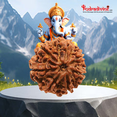 8 Faced Natural Nepali Rudraksha Beads