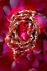 Rudra divine 5 face silver cap indonesia rudraksha mala Rudraksha Mala in Silver Diamond Cut Caps (5 mm, 55 Beads, Lab Certified) - Special Edition - Natural Rudraksha Beads - Pure Silver - Pack of 1