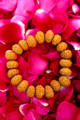 Rudra divine Certified 9 Mukhi Rudraksha Bracelet For Unisex Adult (Brown)