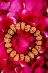 RUDRA Divine 7 Mukhi Rudraksha Bracelet Certified Energized 7 Mukhi Rudraksha Bracelet Adjustable Unisex