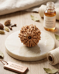 9 Faced Natural Nepali Rudraksha Bead collector