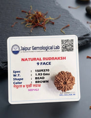 9 Faced Natural Nepali Rudraksha Bead collector