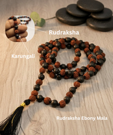 RUDRADIVINE Rudraksha and Ebony Karungali Beads Mala, Brown, Natural, Spiritual Protection Necklace for Men & Women, Meditation, Yoga, Puja