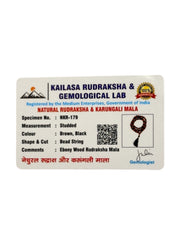 RUDRADIVINE Rudraksha and Ebony Karungali Beads Mala, Brown, Natural, Spiritual Protection Necklace for Men & Women, Meditation, Yoga, Puja