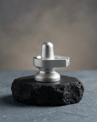 RUDRADIVINE Mercury Shivling (Parad Shivling) AAA Quality 100g | Mantra Siddha Parad Shivling for Puja, Meditation & Vastu |