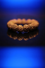 Rudra divine Certified 9 Mukhi Rudraksha Bracelet For Unisex Adult (Brown)