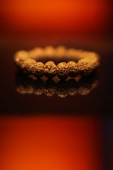 Rudra divine 8 Mukhi Rudraksha Bracelet Unisex Bracelet Java Beads Adjustable 8 Mukhi Rudraksha Bracelet