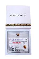 Rudra divine Certified Machh Mani sea stone Reduces and Removes Rahu Impact.(Meen Mukta, fish stone)