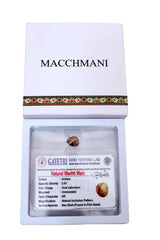 Rudra divine Certified Machh Mani sea stone Reduces and Removes Rahu Impact.(Meen Mukta, fish stone)