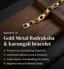 Metal Rudraksha & Karungali Bracelet – Spiritual Protection & Mental Peace Energy | Unisex Energy Healing Bracelet