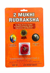 RUDRADIVINE 2 Mukhi Rudraksha Original Natural Rudraksha Bead with Red Thread | Puja, Meditation, Spiritual Practice & Devotional Use
