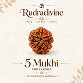 05 Mukhi / Faced Natural Nepali Rudraksha Beads