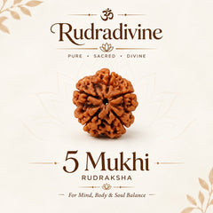RUDRADIVINE 5 Mukhi Rudraksha Pendant SET OF 5