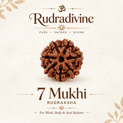 07 Faced Natural Nepali Rudraksha Beads