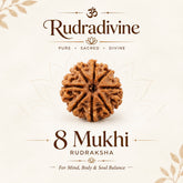 8 Faced Natural Nepali Rudraksha Beads