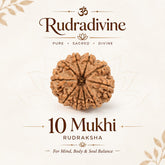 10 Faced Natural Nepali Rudraksha Beads