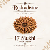 17 Faced Natural Nepali Rudraksha Beads
