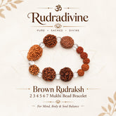 Brown Rudraksh 2 3 4 5 6 7 Mukhi Beads