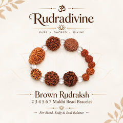 Brown Rudraksh 2 3 4 5 6 7 Mukhi Beads