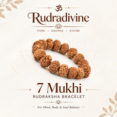 RUDRA Divine 7 Mukhi Rudraksha Bracelet Certified Energized 7 Mukhi Rudraksha Bracelet Adjustable Unisex