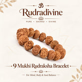 9 Mukhi Rudraksha Bracelet