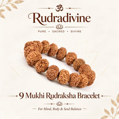 9 Mukhi Rudraksha Bracelet