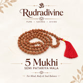 Rudraksha semi Pathariya Mala 108 Beads