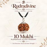 10 Mukhi Rudraksha Pendant