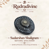 Sudarshan Shaligram