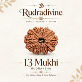 13 Faced Natural Nepali Rudraksha Beads