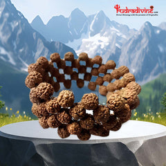 Brown Wooden Stretchable 5 Mukhi Rudraksha Beads Bracelet