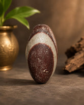 Natural Narmadeshwar Shivling for Sawan Shiv Puja | Original Banalinga Shiva Lingam | Sacred Stone for Abhishek, Rudrabhishek & Home Temple