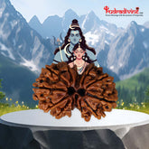 Gauri Shankar Rudraksha