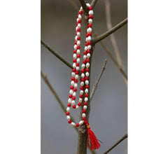 Moti Moonga Mala Red Coral Necklace