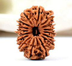16 Faced Natural Nepali Rudraksha Beads collector